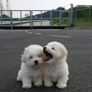 Meet your Posher, Melroy